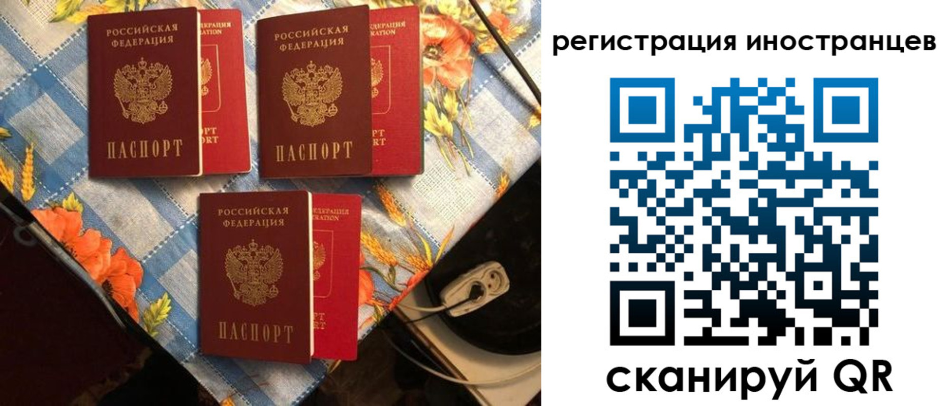 прописка поиск в Никольске